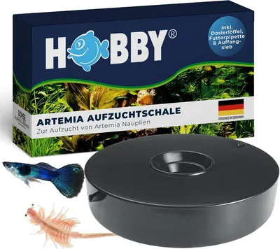 Productafbeelding van Artemia kweekschaal - artemia-eieren laten uitkomen - zonder pomp of ventilatie
