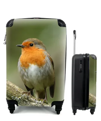 Produktbild von MuchoWow® Koffer Handgepäck Trolley Rollkoffer Kleine Reisekoffer mit 4 Rollen - Vogel - Rotkehlchen - Zweig - Pflanzen - Cabin Size < 55x40x23 cm & 55x40x20 cm - Fotokoffer - Kabinenkoffer - Boardgepäck - Reise-Box - Reisekoffer - Reisegepäck - Koffer mit Bild - Trolley für Kinder