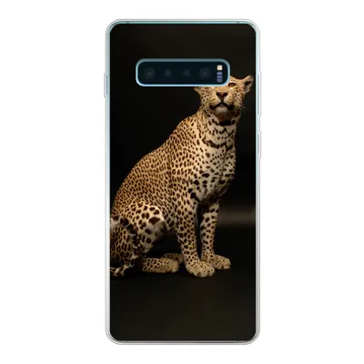 Produktbild von MuchoWow® Handyhülle Schutzhülle Hülle für Samsung Galaxy S10 Plus Leopard - Tiere - Fleck Silikon Softcase Handy Hülle - Schutzhülle