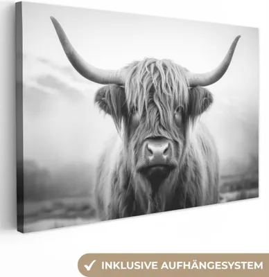 Produktbild von MuchoWow® - Leinwandbilder - Schottischer Highlander - Tierportrait - Schwarz - Weiß - Tier, Wandbild, Wanddeko Bilder Wohnzimmer, 90x60 cm
