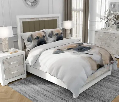 Produktbild von Bettwäsche 200x220 cm + 2x70x80 cm, 3-teilig, 100% Baumwolle, Satin, Reißverschluss, Hund, Bunt - SOVIO | So.0225