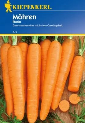 Produktbild von Möhre Rotin | Möhrensamen von Kiepenkerl [MHD 01/2023]