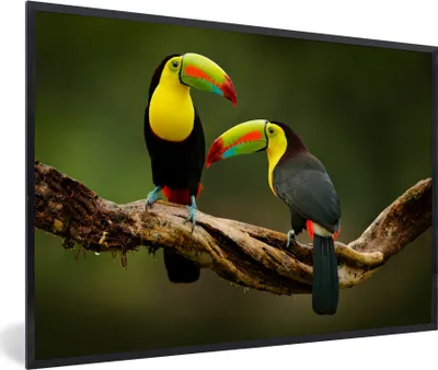Produktbild von MuchoWow® Gerahmtes Poster Vögel - Tukan - Zweig - Tiere - Regenbogen 60x40 cm - Poster mit Schwarzem Bilderrahmen Wandposter Rahmen Foto Bilder - Printing - Wanddeko Schlafzimmer