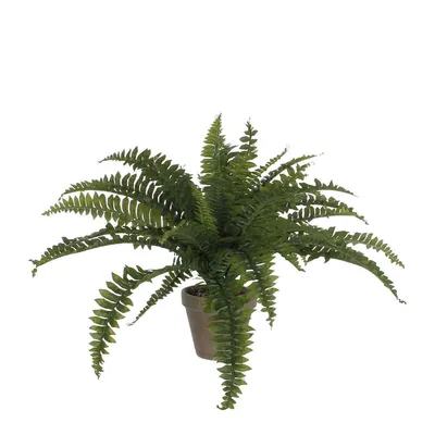 Image de Mica Decorations Fougère plante artificielle dans pot de fleur Stan - H45 x Ø70 cm - Vert