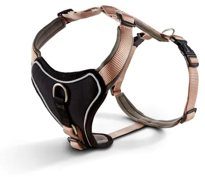 Produktbild von Wolters Geschirr Professional Comfort, Größe: 40-45 cm, Farbe: Champagner/Trüffel