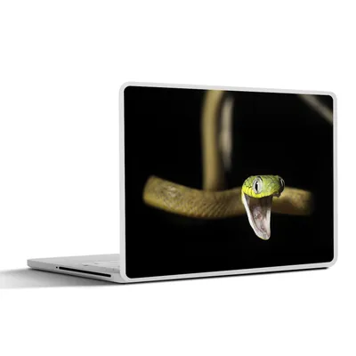 Produktbild von MuchoWow® Laptop Aufkleber Sticker Cover Schlange - Tier - Schwarz 25x18 cm - Laptop-Deko
