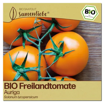 Produktbild von Samenliebe  Tomate Samen | Auriga - orange & süßlich - samenfestes  Saatgut