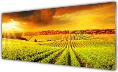 Produktbild von Glasbilder 125x50 Wandbild Druck auf Glas Feld Acker Sonnenuntergang Landschaft
