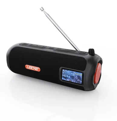 Image de LEICKE DAB+ Radio Tube Haut-parleur Bluetooth portable avec DAB+/FM, batterie 4500mAh, lumières LED RGB, son stéréo 10W,égaliseur, port Micro SD/AUX