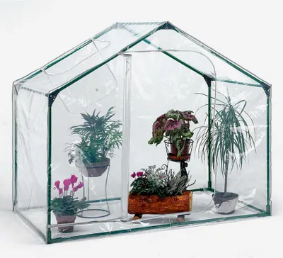 Produktbild von Balkongarten Terrassengewächshaus 180x105xh153cm Pflanzen Gemüse Blumen Mimose S