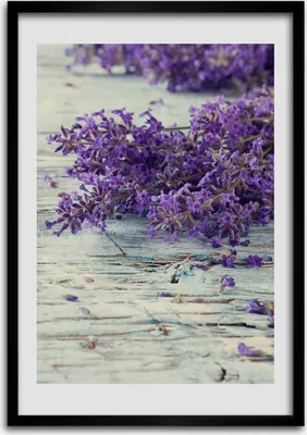 Produktbild von Bild - Bilderrahmen - Foto - 70 cm x 100 cm - MDF - Rahmen - Wandkunst - Lavendel auf dem Holz