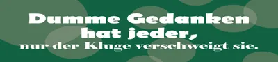 Produktbild von vianmo Blechschild 10x46 cm Dumme Gedanken hat jeder