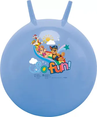 Image de Trémie Paw Patrol 500mm