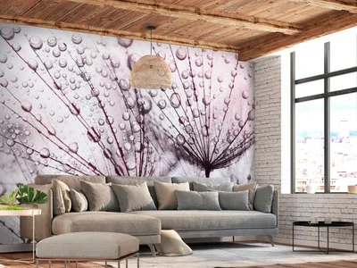 Produktbild von Vlies Fototapete Pusteblume 300x210 cm Tapeten Wandtapete XXL Natur Tau Blumen Wassertropfen grau b-C-0664-a-a