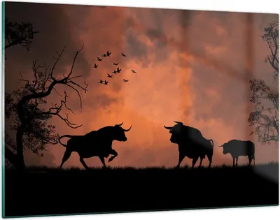 Produktbild von Bilder auf glas - Tier wütend Stier - 120x80cm - Glasbilder - Wandbilder - Kunstdruck - zum Aufhängen bereit - Wanddekoration aus Glas - Glas Bilder - Wandbild auf Glas - Einteilig - GAA120x80-0494