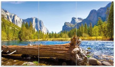 Produktbild von Wallario Herdabdeckplatte aus Glas, Größe 90 x 52 cm 3-teilig, Motiv Baumstamm im Fluss zwischen Bergen und Wäldern