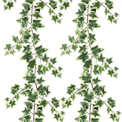 Immagine prodotto di Ghirlande di edera artificiale, set di 2 pezzi, lunghezza 180 cm