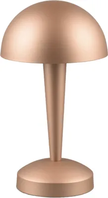 Zdjęcie produktu dla Lampa stołowa Canaria brązowa 1xE14x5W metal wym:26,5x15x15cm IP20 RL