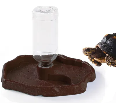 Productafbeelding van Solidchoice - Reptielen Voederbak voor Terrarium
