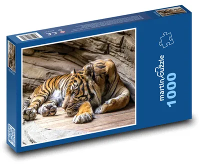 Obrázek produktu pro martinpuzzle - Puzzle 1000 - Tygr