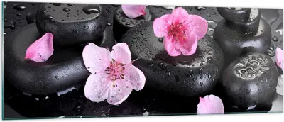 Produktbild von Bilder auf glas - Blumen Steine Tropfen Spa - 140x50cm - Glasbilder - Wandbilder - Kunstdruck - zum Aufhängen bereit - Wanddekoration aus Glas - Glas Bilder - Wandbild auf Glas - GAB140x50-2714