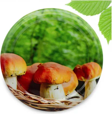 Zdjęcie produktu dla Zakrętki 66-4 Wieczka 10szt Grzyb G-02 Nakrętki Pokrywki Nakrętka Słoiki