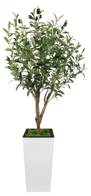 Produktbild von Künstlicher Olivenbaum - Topfpflanze - 120 cm - Naturgetreu - Kunststoff - Für Innen Und Außen - Zur Bodenaufstellung
