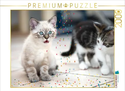 Produktbild von CALVENDO Puzzle Huuuch... 2000 Teile Puzzle quer | 2000 Teile Lege-Größe 90x67cm Foto-Puzzle für glückliche Stunden