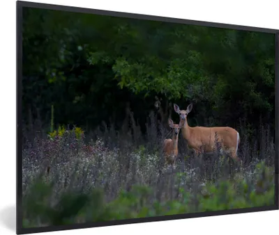 Produktbild von MuchoWow® MuchoWow® Gerahmtes Poster Hirsche - Blumen - Kalb - Wald 60x40 cm - Poster mit zchwarzem Bilderrahmen - Printing - Wanddeko Schlafzimmer