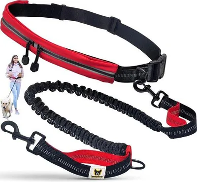 Obrázek produktu pro Elastické vodítko pro psy, červené, 120–180 cm, pro středně velké a velké psy | Vodítko pro běhání, jízdu na kole, turistiku a výcvik psů bez použití rukou