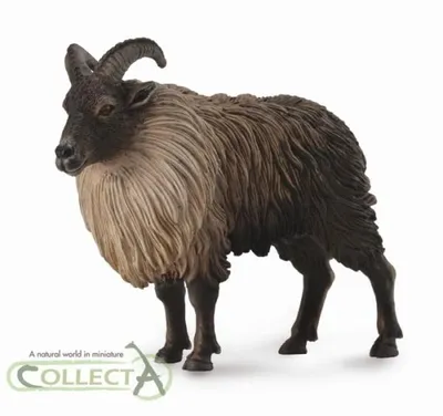 Produktbild von Wildziege Tahr Himalaya L - Tierfigur