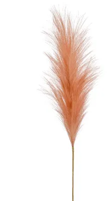 Produktbild von künstliches Pampasgras Federzweig orange H. 100cm Emerald Kunstblumen