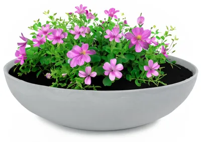 Immagine prodotto di Fioriera rotonda bulbosa da 37 cm per esterni, grigio chiaro marmorizzato