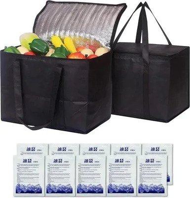 Immagine prodotto di Set di borse termiche con 10 elementi refrigeranti riciclabili - Grande borsa isolante pieghevole