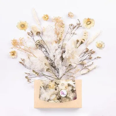 Produktbild von Famanu getrocknete Blumen für Dekoration und Bastelprojekte - Weiß