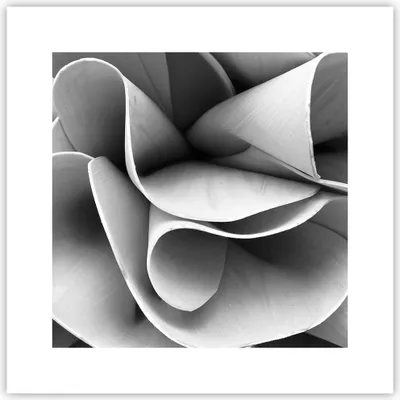 Produktbild von Poster - Poster ohne Rahmen - Material Ornament Stück - 30x30 cm - Wand Bild - Wanddeko - Wandbilder - Kunstposter - Wandposter - Bilder - Kunstdruck - Wanddekoration - Wandbild - P2XAC30x30-4993