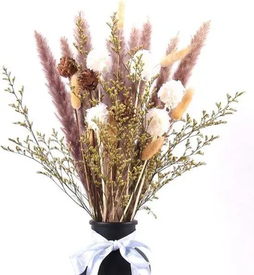 Produktbild von Famanu Trockenblumen Pampasgras - 63 Stück Boho Deko für Wohnzimmer und Schlafzimmer
