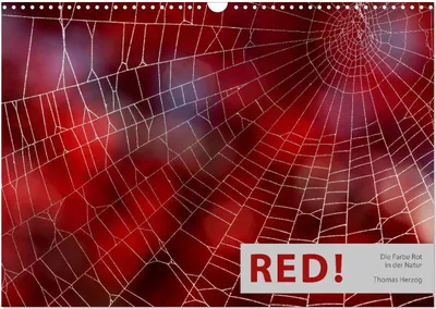 Produktbild von RED! (Wandkalender 2025 DIN A3 quer), CALVENDO Monatskalender