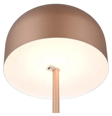 Obrázek produktu pro LED stojací lampa, dotykový stmívač, dobíjecí baterie, USB, káva, V 147 cm