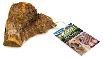 Produktbild von Arquivet - Heidewurzel - Beißring für Hunde - Natürliches Hundespielzeug - L (30