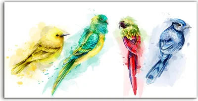 Produktbild von Coloray Glasbild 140x70  Wandbild Glasbilder Tiere tropische Vögel Aquarellfarbe