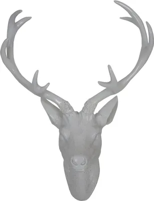 Produktbild von Hirschgeweih aus Polyresin in weiß Größe wählbar Wanddeko shiny Geweih