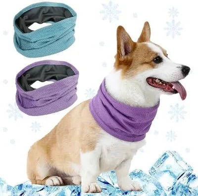 Produktbild von 2 Stück Kühlendes Halstuch Hund, Hundehalstuch, Hunde Halstücher Kühlend, Kühlhalsband für Hundes, Hundes Bandana im Sommer, Atmungsaktiv Kühlhalsband für Hund zum Sommerspaziergang Spielen