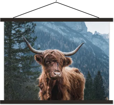 Produktbild von MuchoWow® Textilposter Schottische Hochlandrind - Wald - Berge 120x90 cm mit schwarzem Rahmen - Aufhänger für Poster