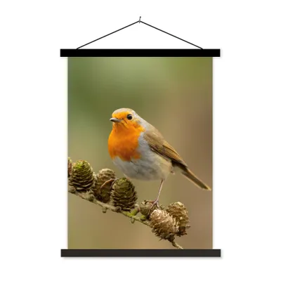 Produktbild von MuchoWow® Textilposter Vogel - Rotkehlchen - Tannenzapfen - Zweig - Herbst 60x80 cm mit schwarzem Rahmen - Plakathalter
