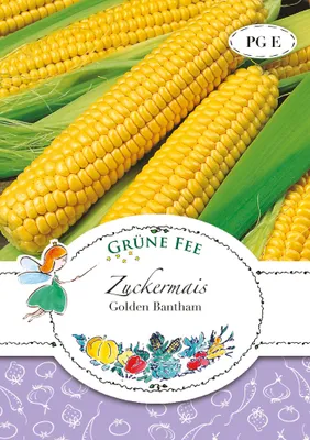 Produktbild von Grüne Fee - Zuckermais Golden Bantam Samen - 11264