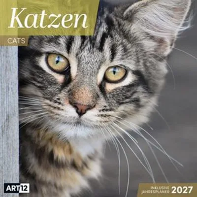 Obrázek produktu pro Kočičí kalendář 2027 – 30 x 30 – Art12