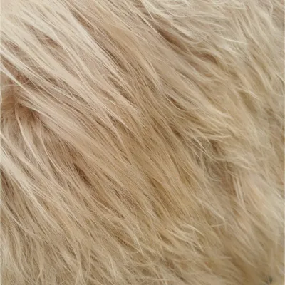 Produktbild von TOP Schaffell | 140cm | Echtes Lammfell |Teppich Deko | Beige | Sitzauflage.Größe:120cm - 130cm,Haar-Länge:Lang 10-15cm