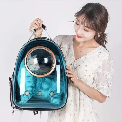 Produktbild von Famanu Haustier-Rucksack mit Panoramadom - Blau