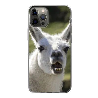Produktbild von MuchoWow® Handyhülle Schutzhülle Hülle für iPhone 12 Pro Lama - Lustig - Kinder - Jungen - Mädchen - Kinder Silikon Softcase Handy Hülle - Abdeckung